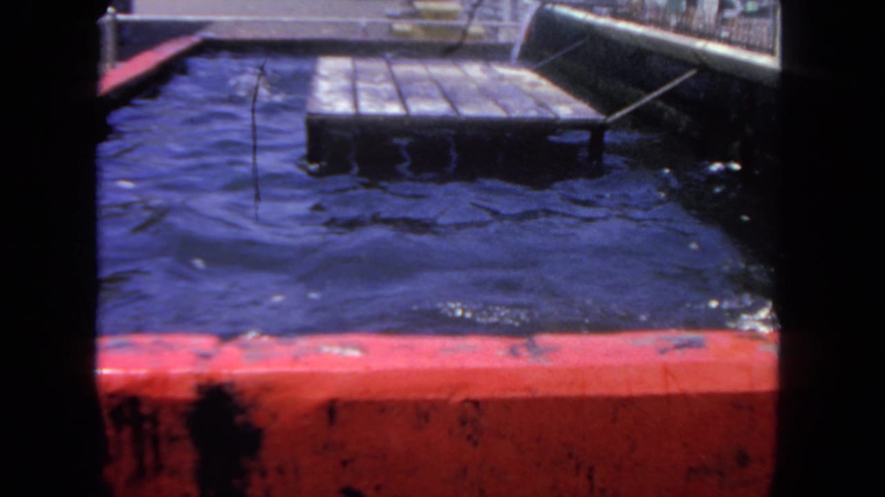 1962 San Diego home-movie frame of rippling water in a marine animal enclosure with a red rim and floating platform.