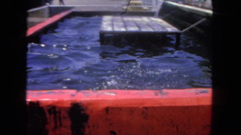 1962 San Diego 8mm frame with splashing water in a marine exhibit enclosure and a floating wooden platform in back.