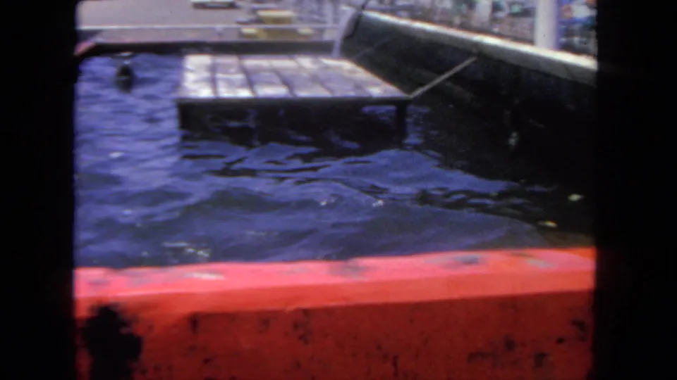 1962 San Diego 8mm frame showing a likely seal or sea lion head in the water near a platform inside an enclosure.