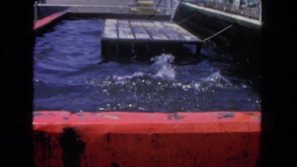 End frame from the 1962 San Diego harbor clip with a splash in the water beside the red dock edge and nearby floating platform.