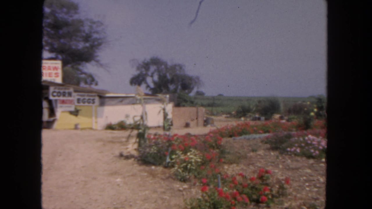 1962 San Diego home-movie frame showing flower beds beside a small produce stand with fields and trees in the distance.