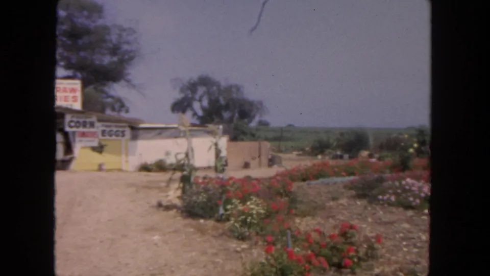 1962 San Diego home-movie frame showing flower beds beside a small produce stand with fields and trees in the distance.