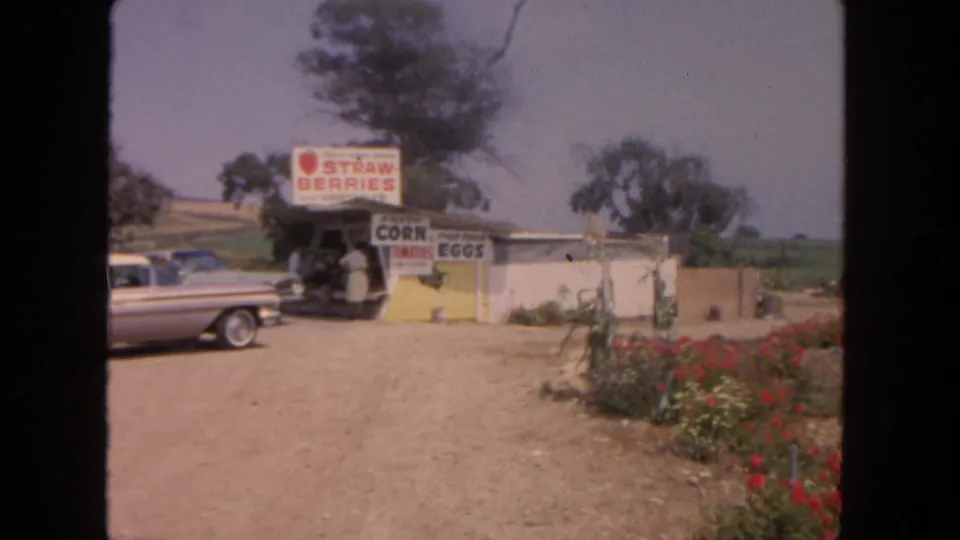 San Diego-area 1962 roadside stand with strawberry signage, partial sedan, dirt lot, trees, and red flowers.