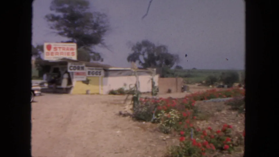 A 1962 San Diego roadside produce stand appears beside red flowers, trees, open fields, and a dirt parking area.