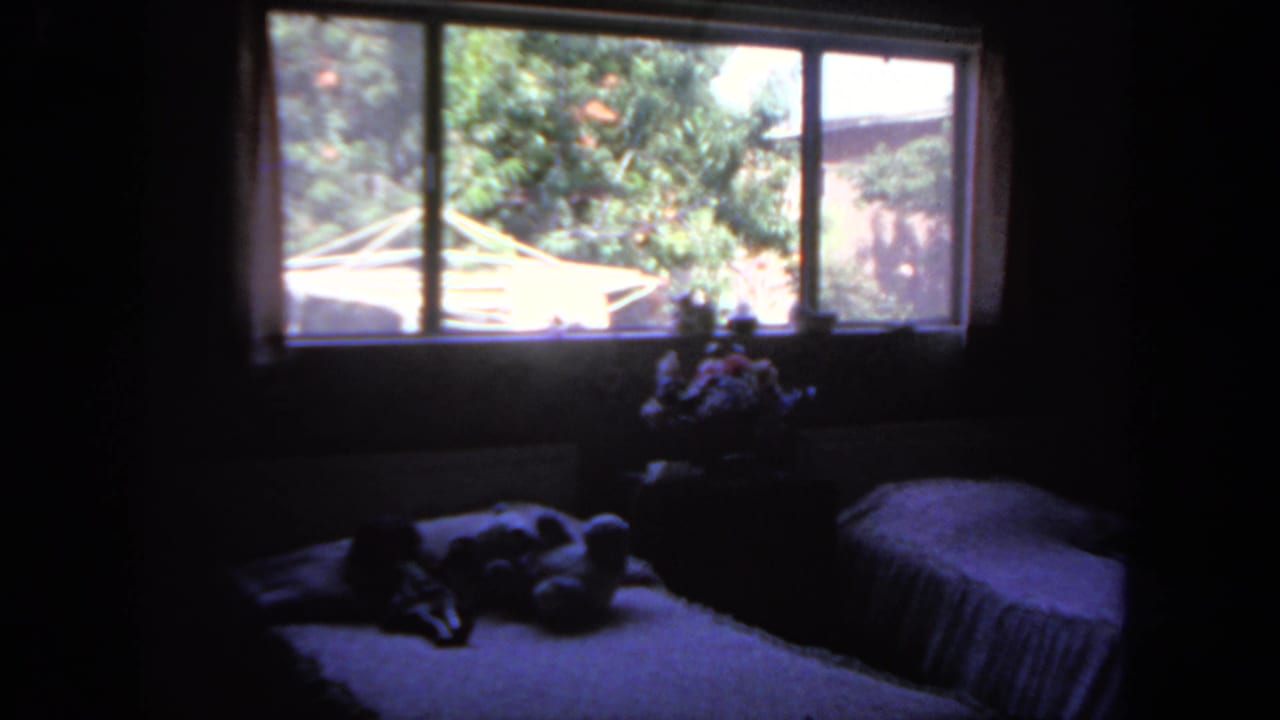 Dim bedroom view with twin beds, window panes, trees outside, and flowers near the sill.