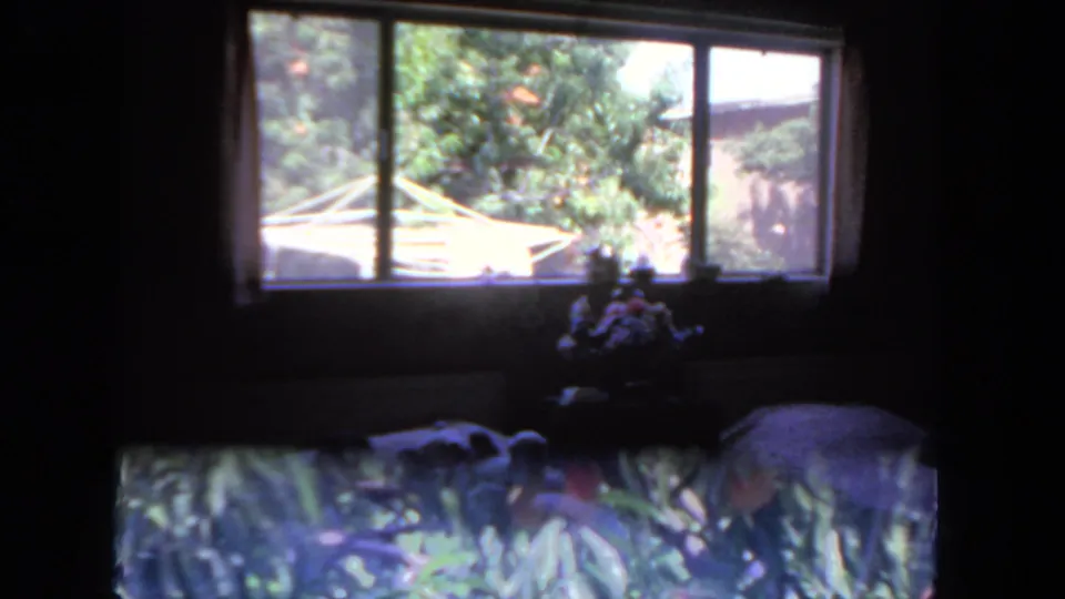 1962 San Diego frame showing the dim bedroom from a slightly lower angle, with beds, a bright window, backyard foliage, and flowers.