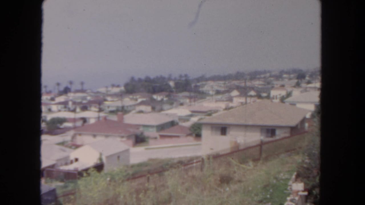 Residential rooftops seen from above with palm trees and distant houses under a hazy sky.