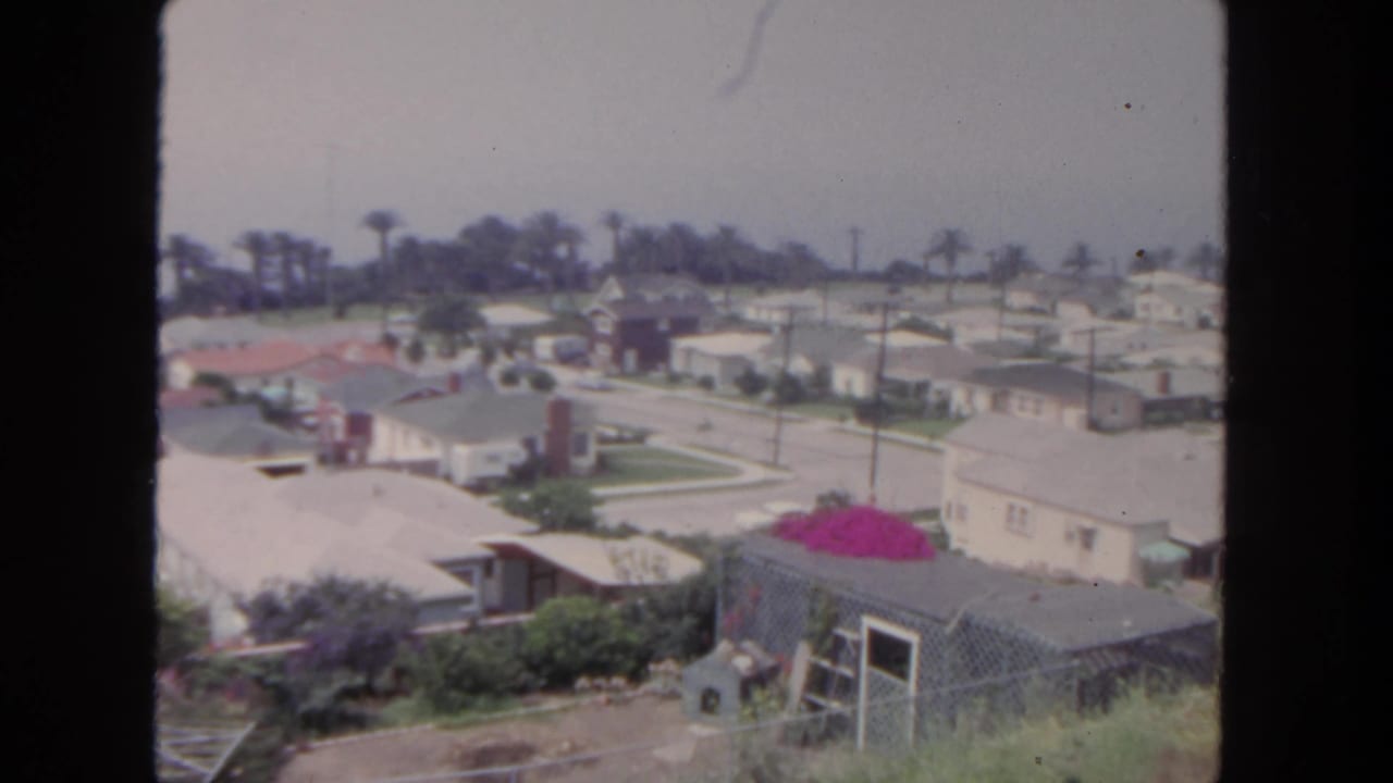 Elevated view over single-story homes, streets, lawns, palms, and a bright pink shrub.