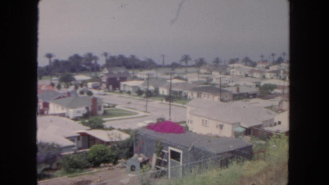 1962 San Diego frame with an elevated view of low suburban houses, light roofs, palm trees, utility poles, streets, lawns, and foreground vegetation.
