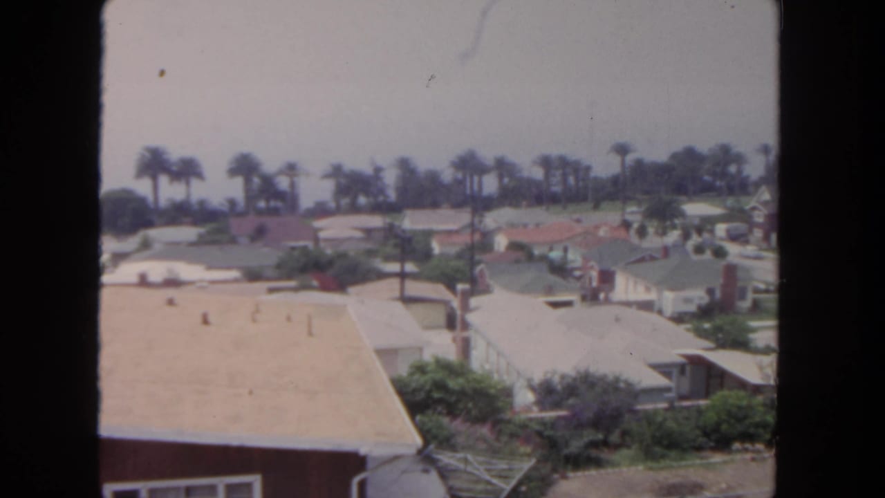Elevated view across single-story houses, pale rooftops, streets, lawns, and palm trees.