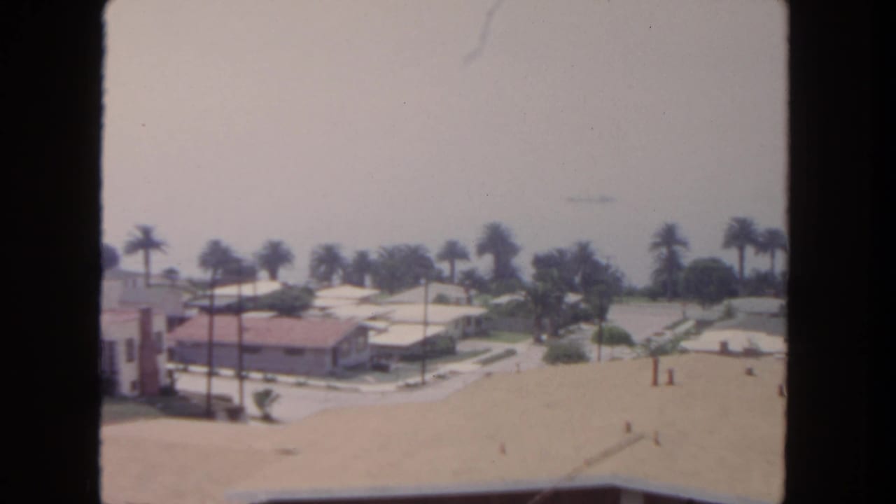 Palm-lined residential neighborhood seen from above with low houses and hazy sky.