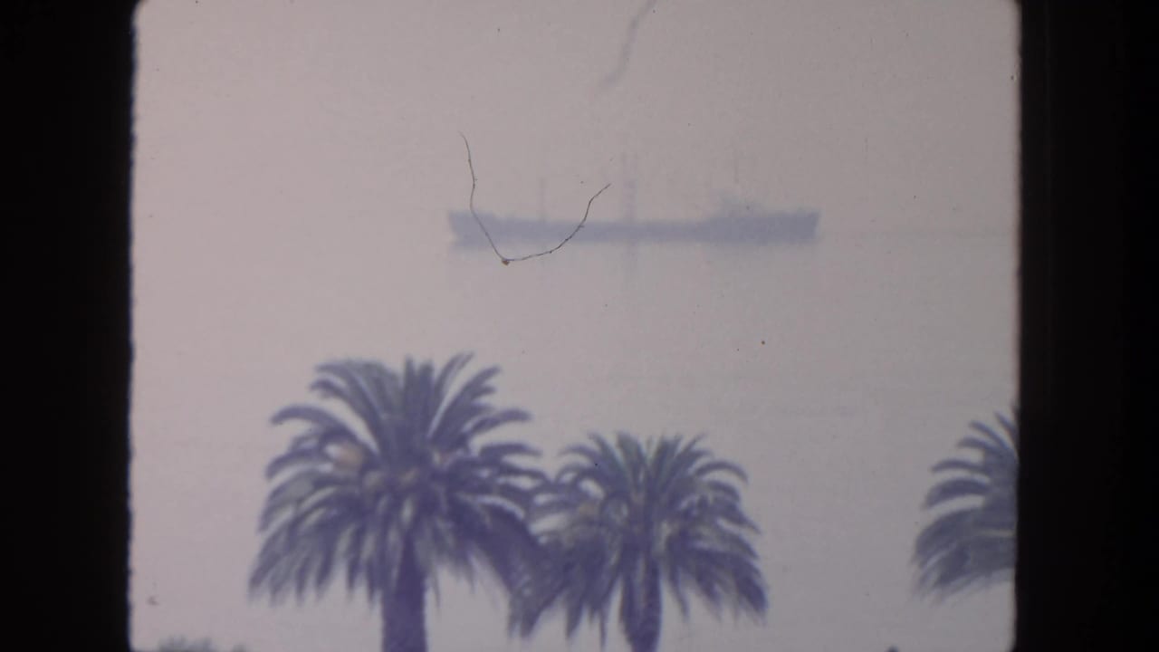 Palm trees in the foreground with two faint ships on hazy water beyond.