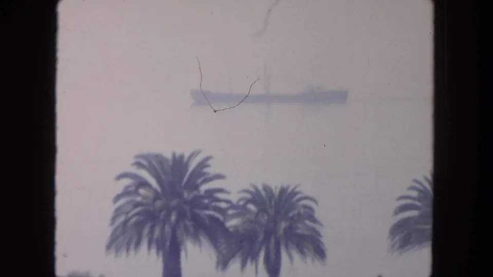 1962 San Diego coastal view with palm trees framing two distant ships on hazy water.