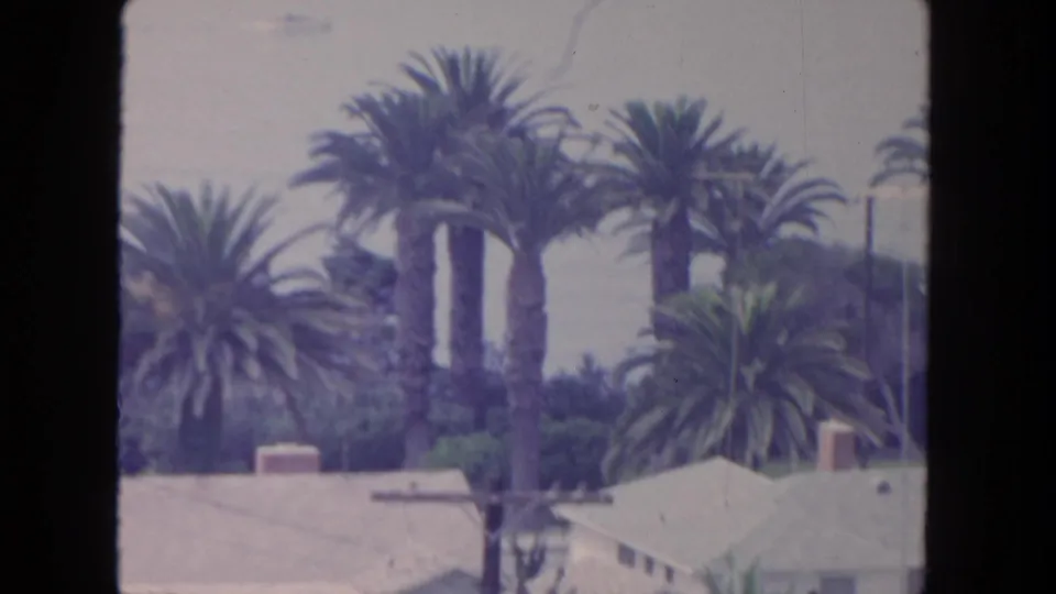 1962 San Diego residential coastal view with tall palms, rooftops, utility poles, and distant haze.