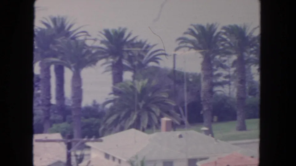 1962 San Diego coastal neighborhood view with palms, rooftops, utility lines, and distant haze.