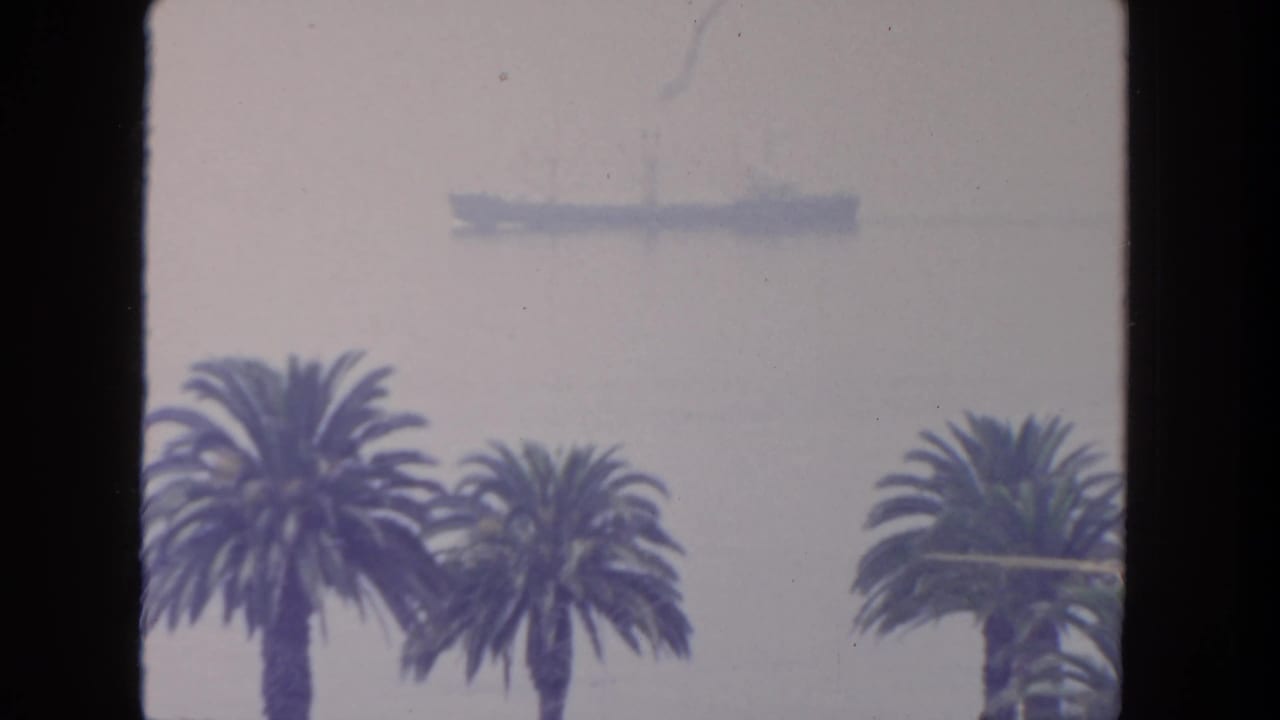 Hazy 1962 San Diego coastal view with palm trees below a distant ship seen through the bright window.