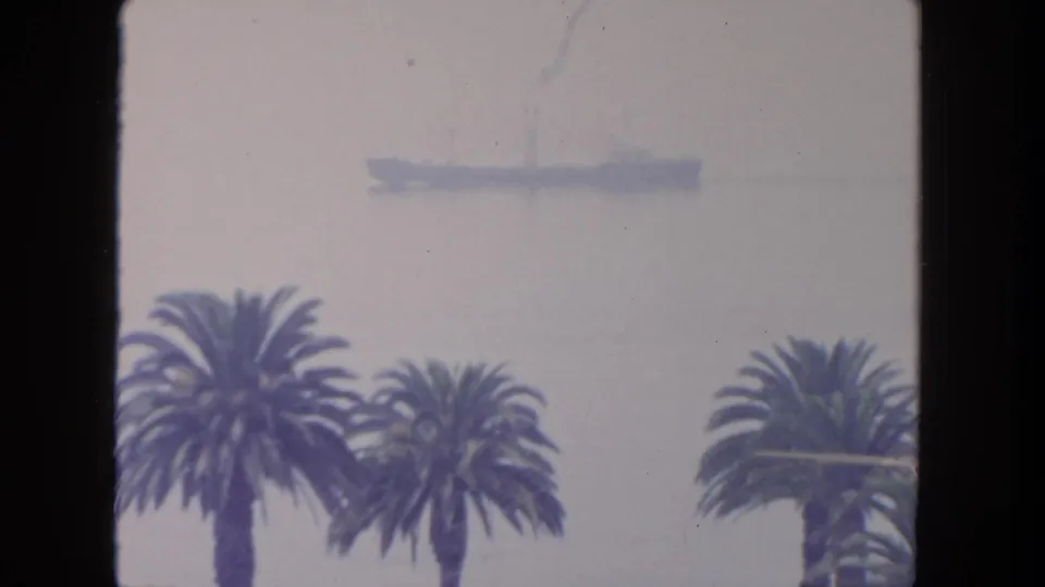 Hazy 1962 San Diego coastal view with palm trees below a distant ship seen through the bright window.