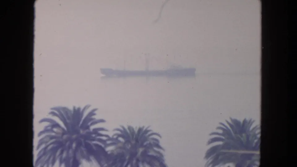 A soft 8mm coastal view shows San Diego palms with a faint ship offshore in the upper frame.