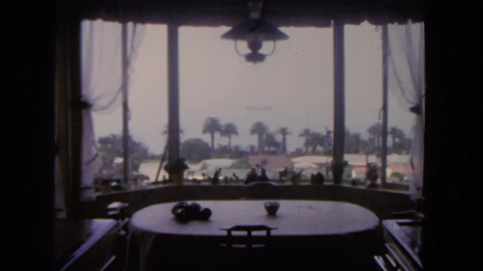 A San Diego interior view shows a round table and silhouetted objects against large windows overlooking palm trees and bright waterfront or sky.