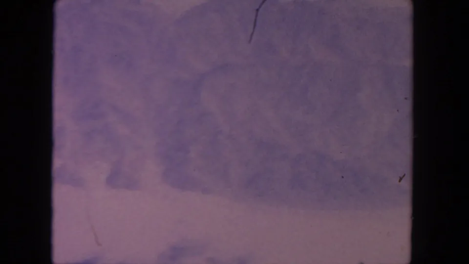 End frame of the 1962 8mm aerial clip showing faded purple cloud cover, haze, grain, and minor scratches without identifiable ground features.
