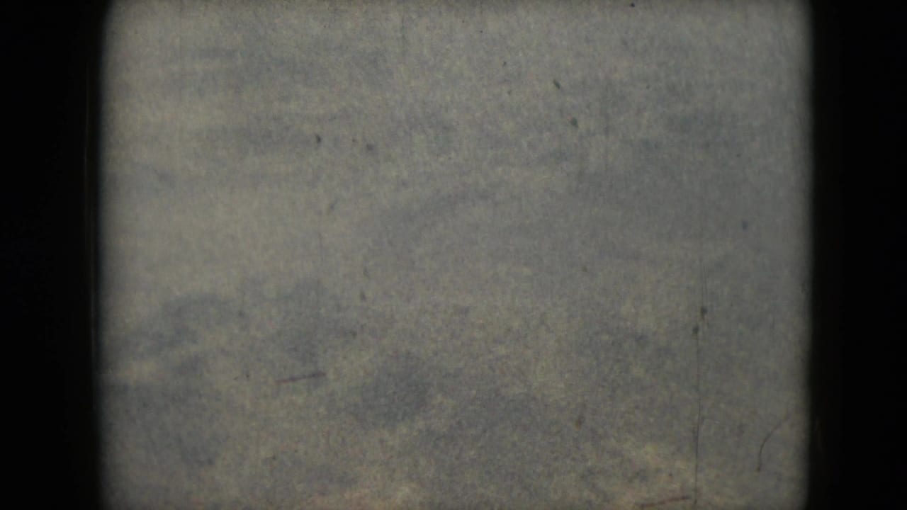 Soft pale landscape texture with grain, scratches, and dark film edges.