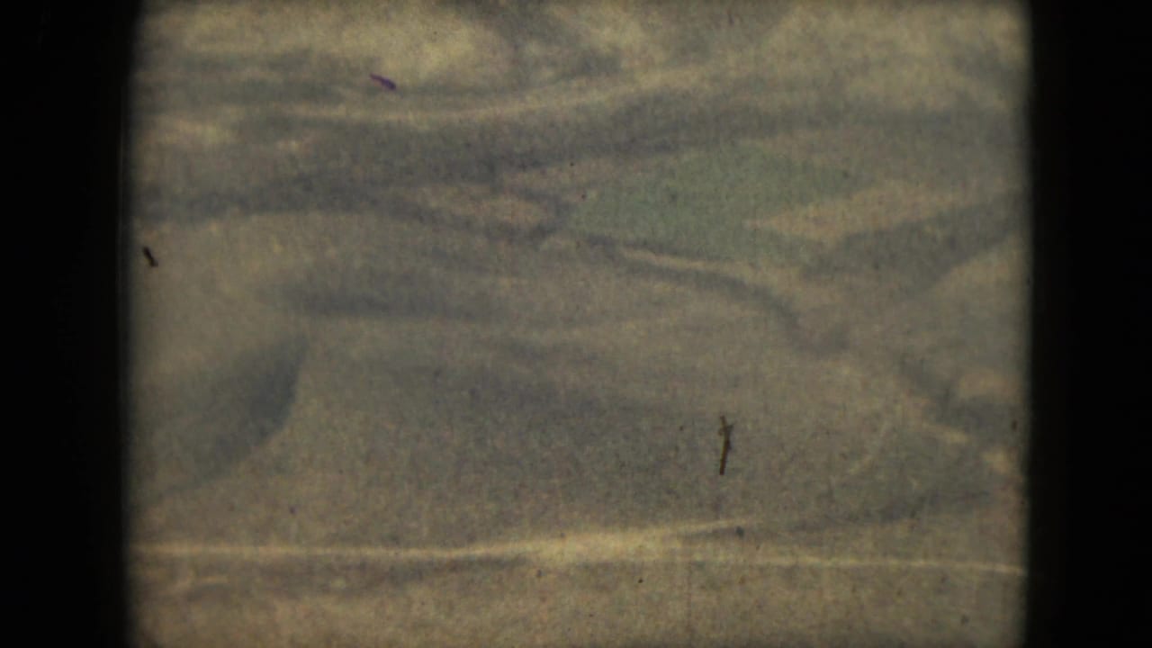 Mottled beige-gray film surface with dark gate borders and faint scratches.