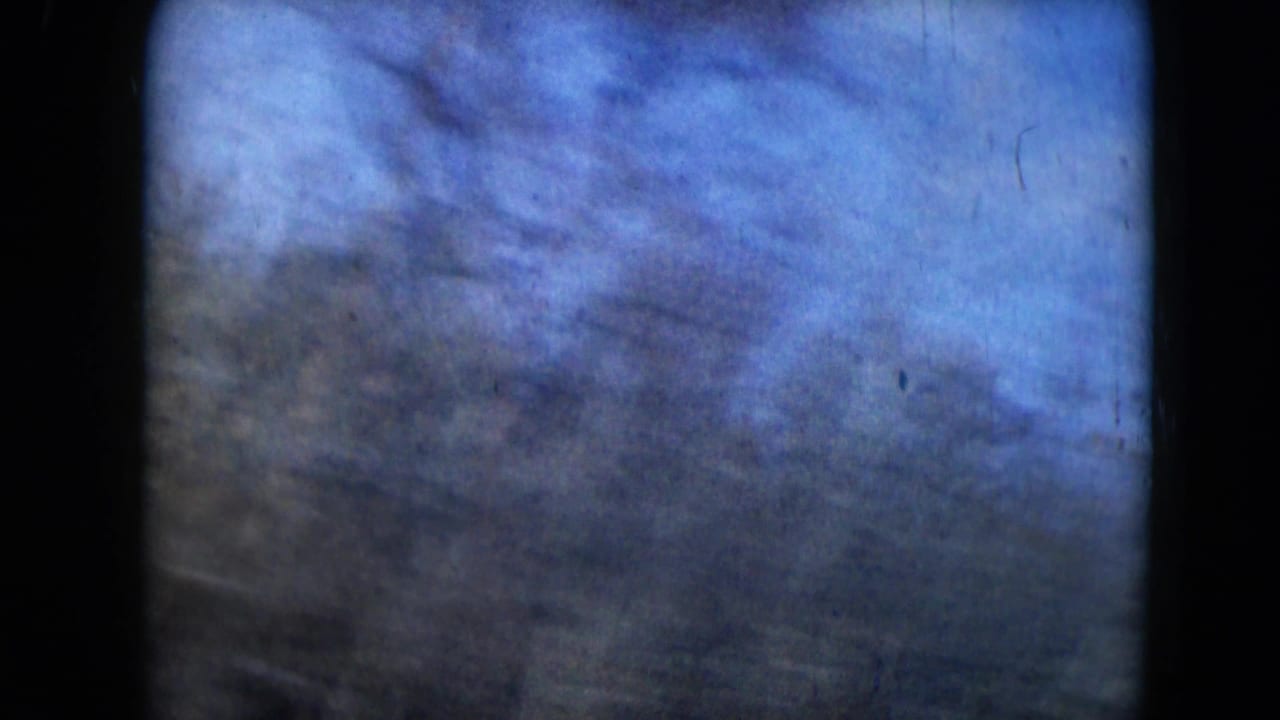 Motion-blurred trees or roadside vegetation pass beneath a blue sky in 1962 Mexico City home-movie footage.