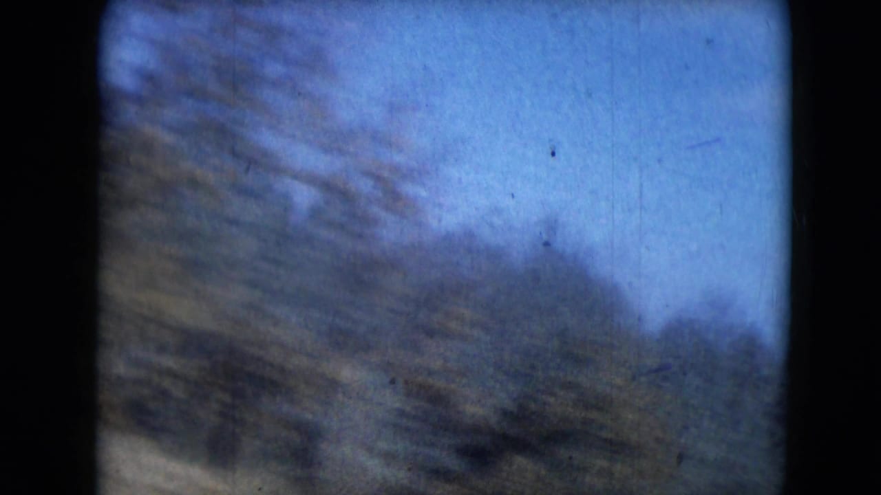 Soft, streaked trees and sky with rounded film-frame edges.