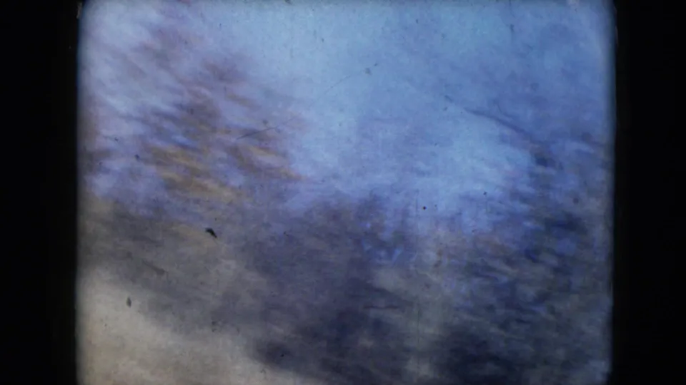 The car-ride view returns to blurred roadside vegetation and pale blue sky, with soft exposure and visible film dust.