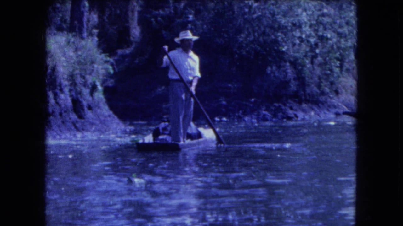 A man in a white shirt and straw hat propels a small canal boat in 1962 Mexico City, with a wooded bank behind him.