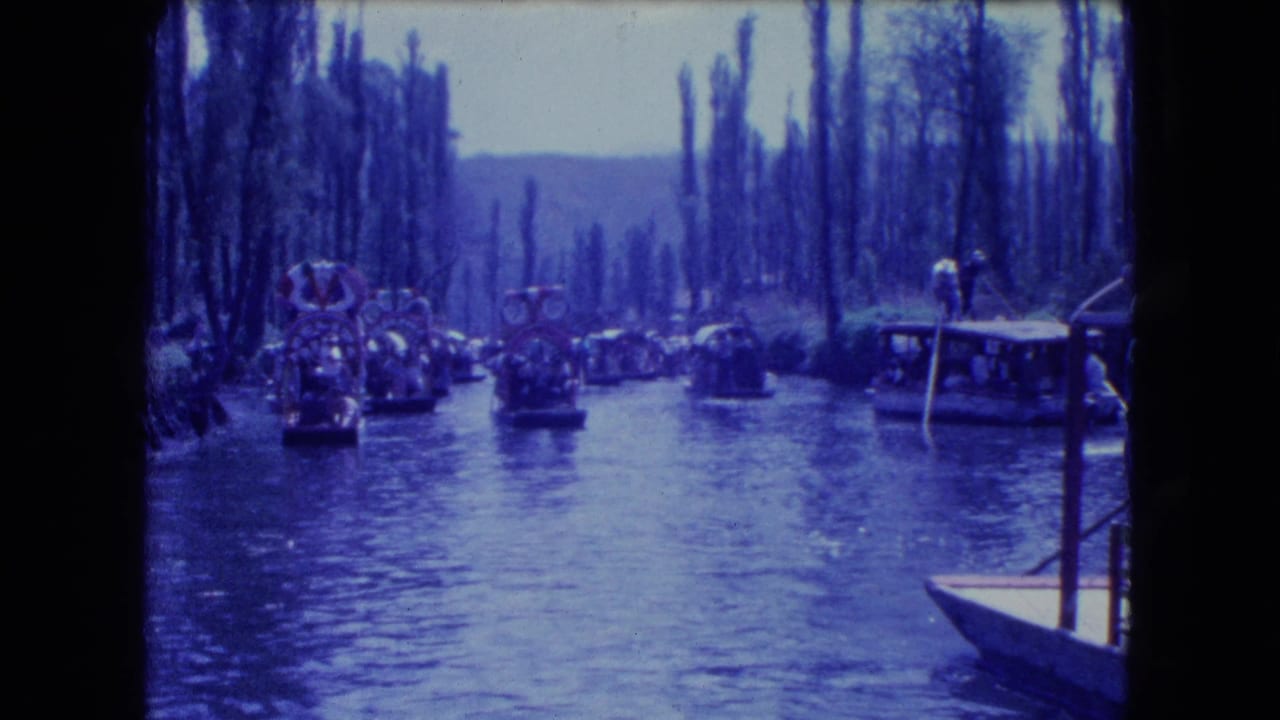 Several trajineras and small boats on a canal bordered by tall trees.