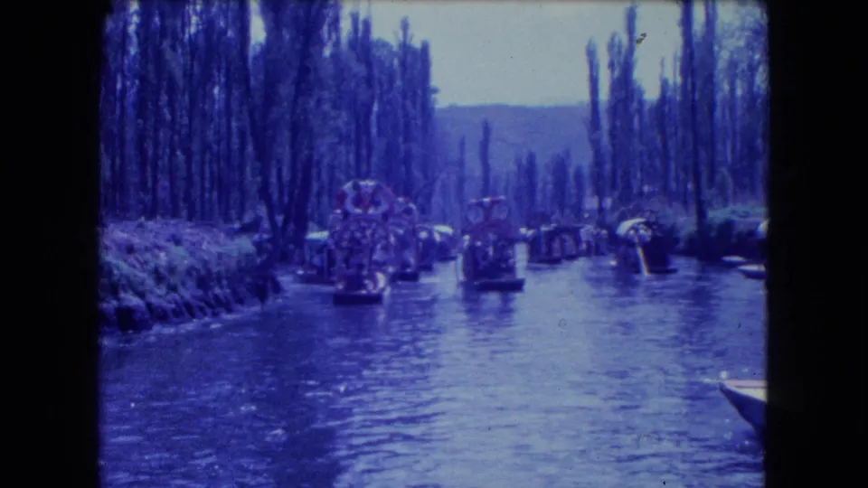 Wide 1962 Mexico City canal view with multiple trajineras moving through Xochimilco beneath rows of tall trees.