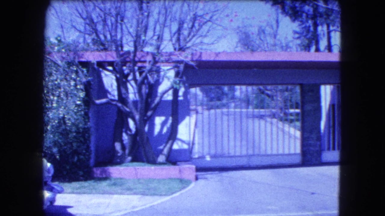 Residential gate and hedges with part of a white car entering frame at left.