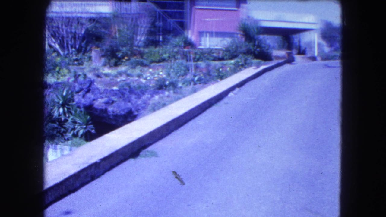 Blue-tinted 8mm view of a Mexico City residential road with garden beds and a house visible at the top of the drive.