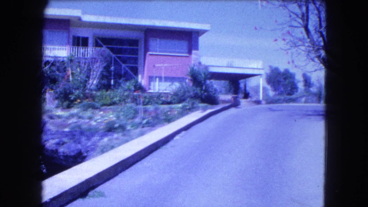 Paved driveway leading toward a flat-roof modern house with garden planting and a bare tree.
