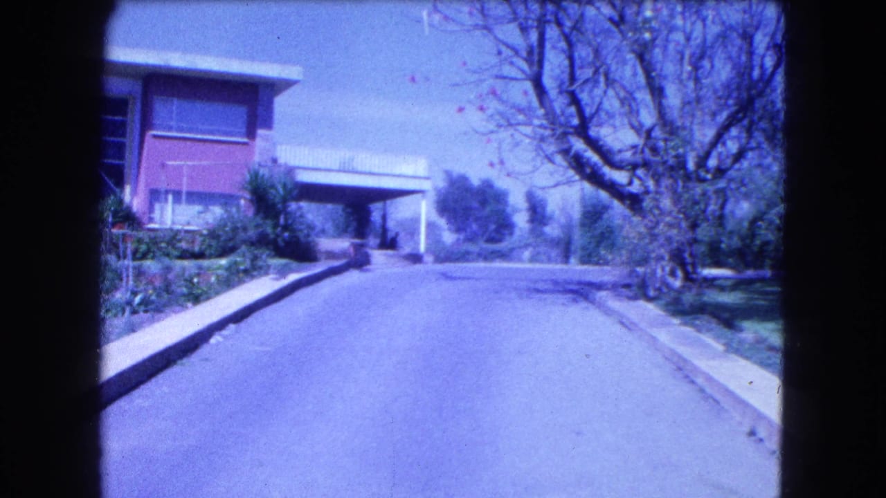 Driveway and curb beside a modern house, landscaped beds and a large bare tree at right.