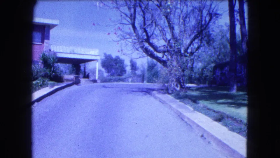 1962 Mexico City home-movie frame showing the driveway closer to the carport, with lawn, shrubs and a large bare tree.