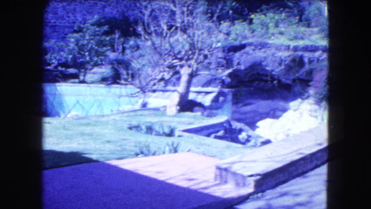 1962 Mexico City home-movie frame showing a terraced backyard with lawn, a bare tree, stonework, and a small pool or pond.