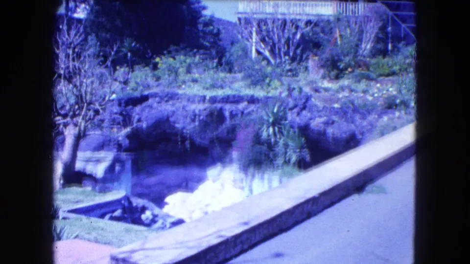 1962 Mexico City garden frame showing a pool or pond, stone terrace, shrubs, lawn, bare tree, and part of a raised house structure.