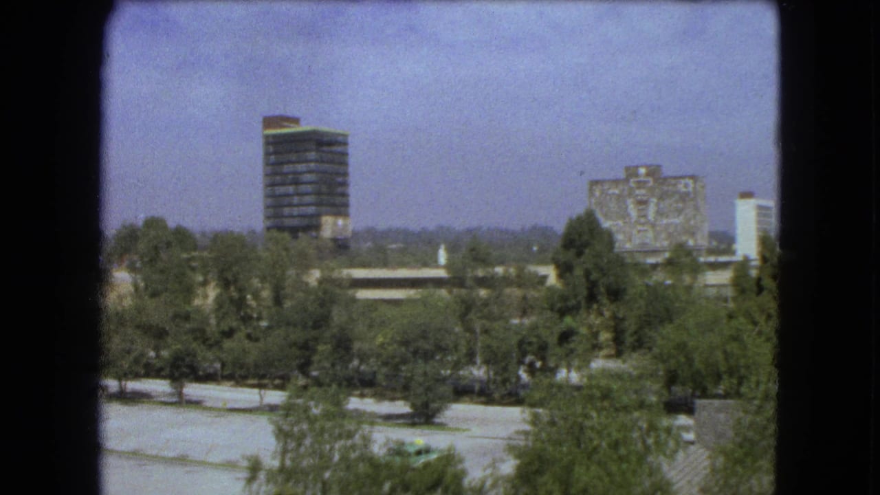 Urban panorama with a high-rise, trees, low buildings, and distant mural-covered structure.