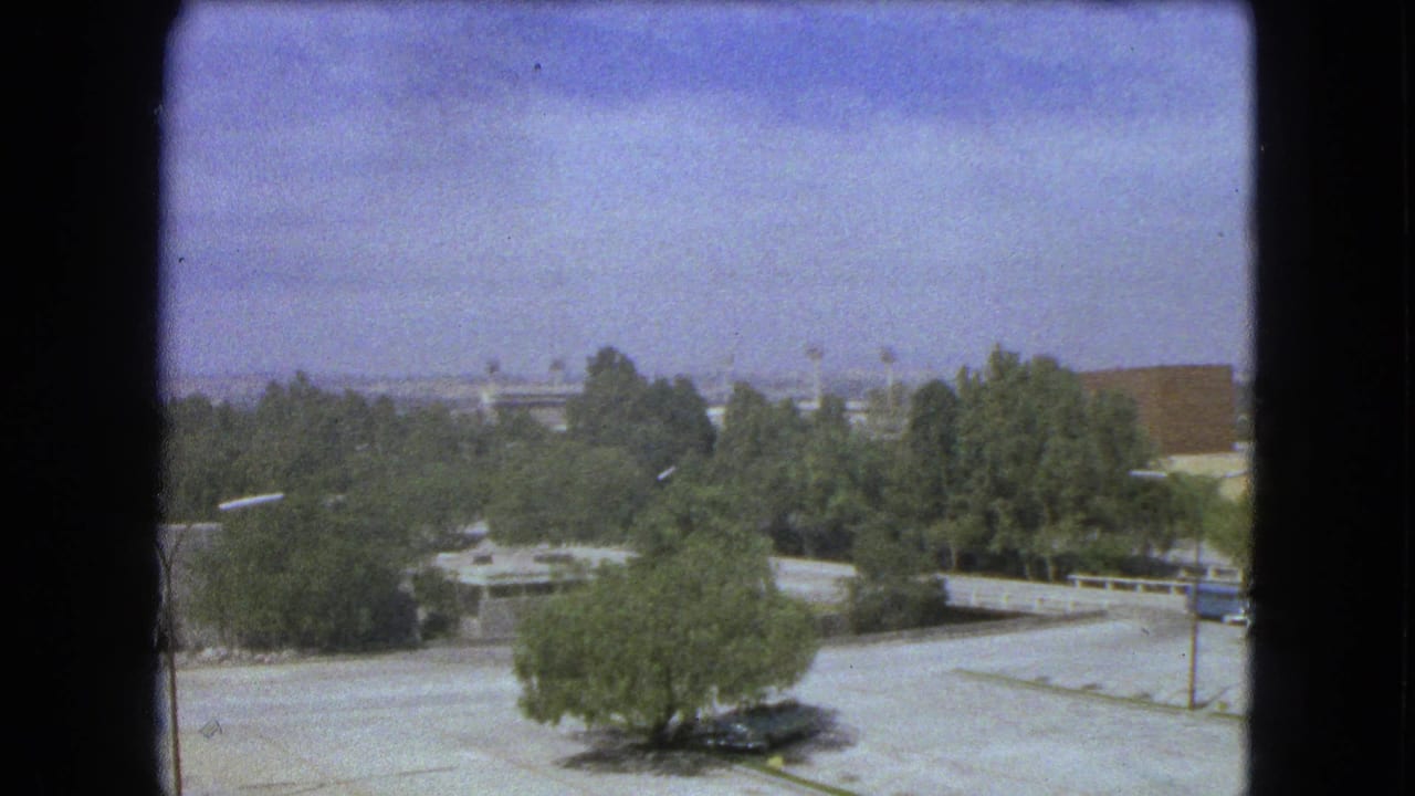1962 Mexico City 8mm frame showing treetops, broad paved areas, low modern buildings, and a hazy distant skyline.