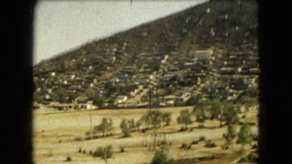 1962 Mexico City 8mm frame showing dry roadside land, trees, and a densely populated hillside beyond.