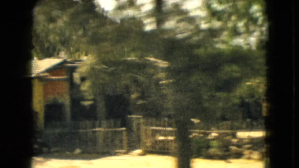 A small home, trees, fencing, and sunlit ground are seen from a moving window in 1962 Mexico travel footage.