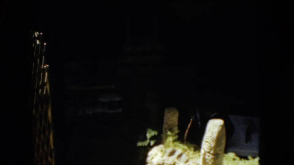 The final frame is mostly dark and underexposed, with only partial rocks, foliage, and shadowed outdoor forms visible from the same 8mm sequence.