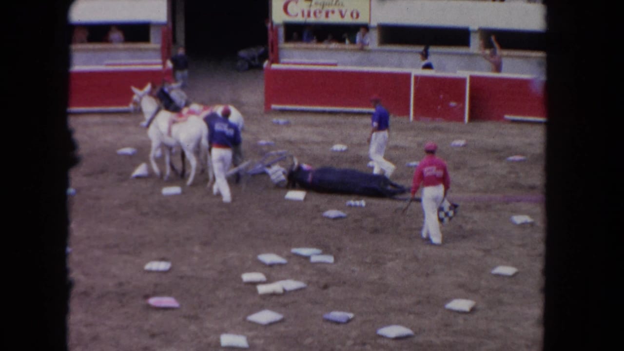 1962 Los Angeles home-movie frame showing mounted handlers and attendants around a bull on a dirt arena floor, with spectators and signage behind red boards.