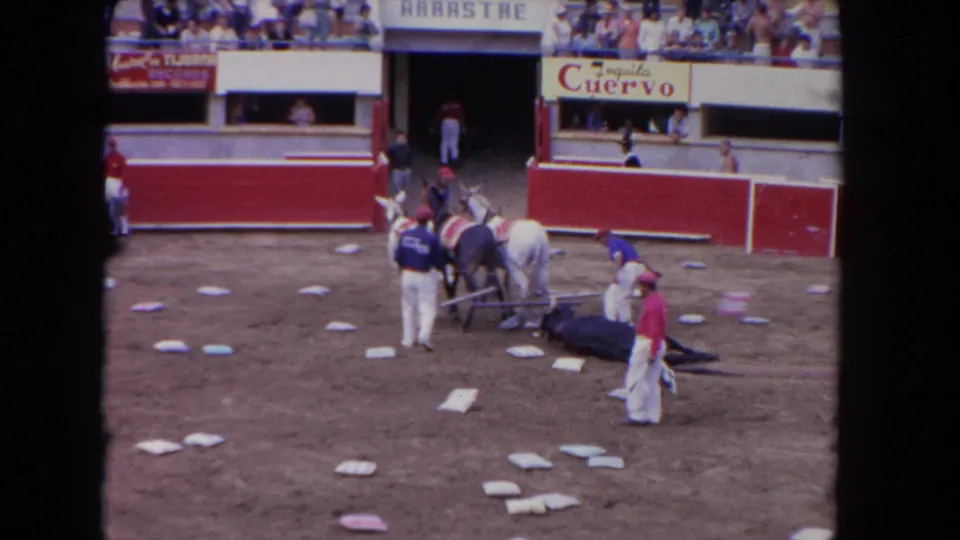1962 Los Angeles arena scene with horseback handlers and attendants standing around a downed bull, with red barriers, spectators, and visible signage in the background.