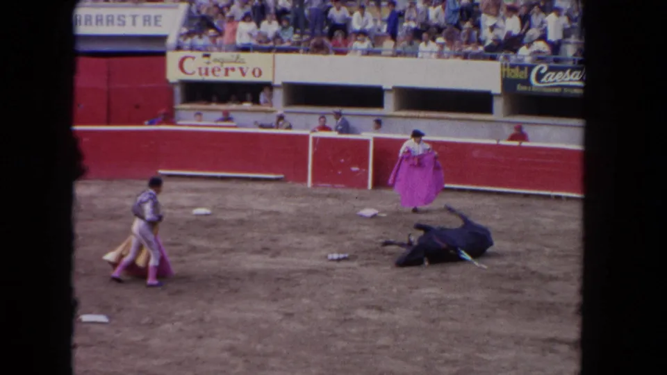 1962 Los Angeles arena footage showing a bull down on the dirt while matadors in pink capes watch from different sides.