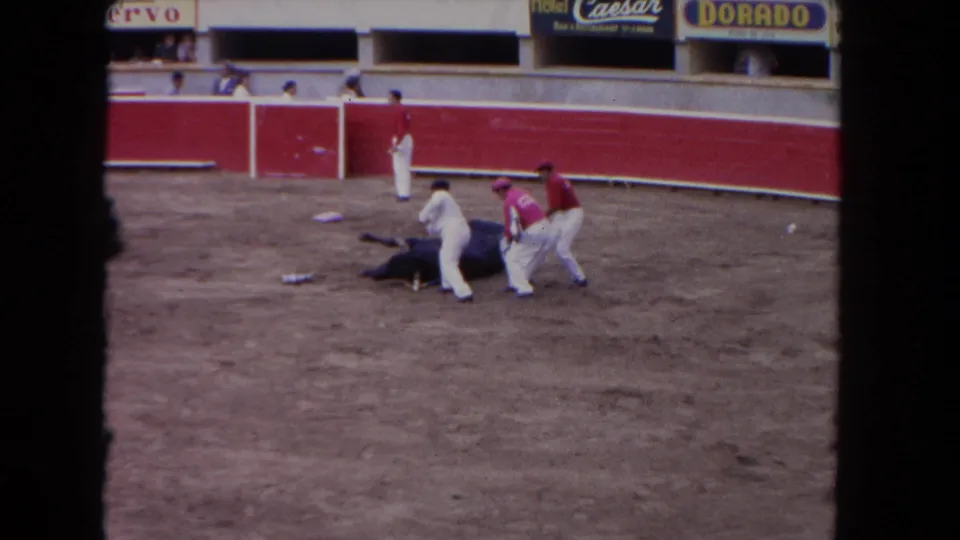 Arena attendants in white and red clothing tend to a bull on the ground while a matador stands nearby in the 1962 Los Angeles footage.