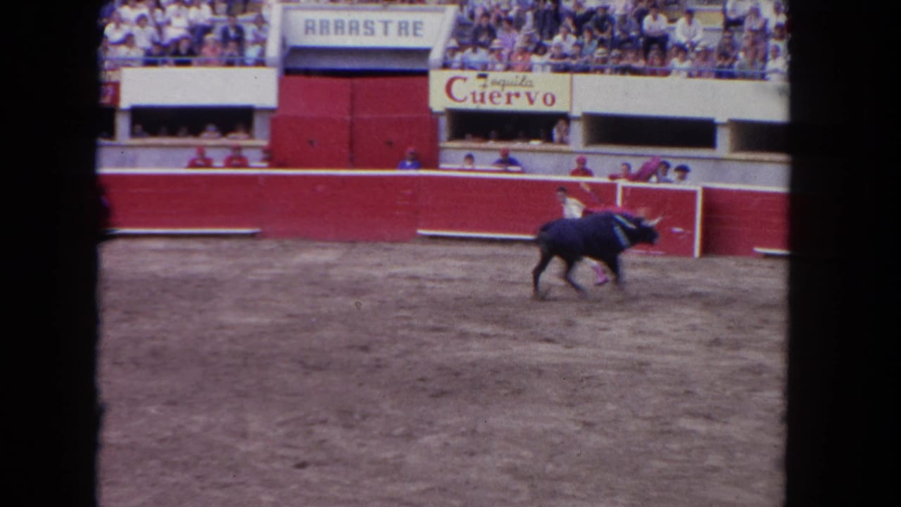 A dark bull runs near a matador with a red cape inside a small arena.