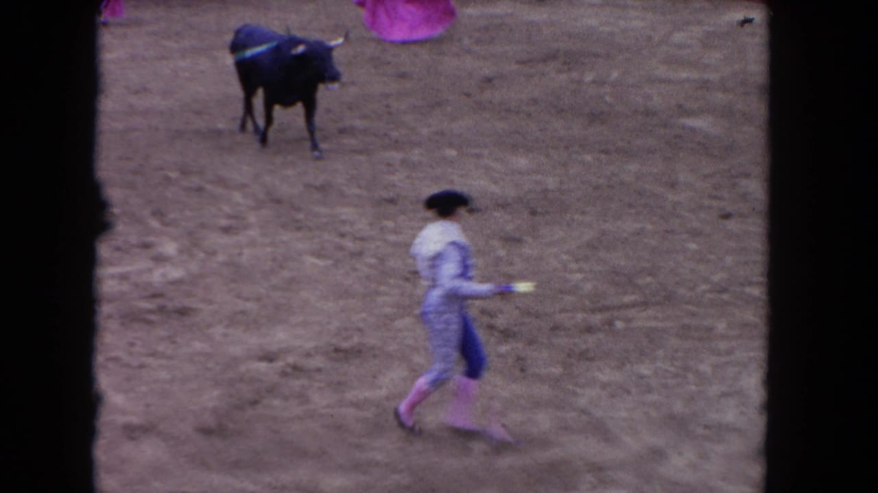 Matador in a dusty arena faces a black bull near the upper edge of the frame.
